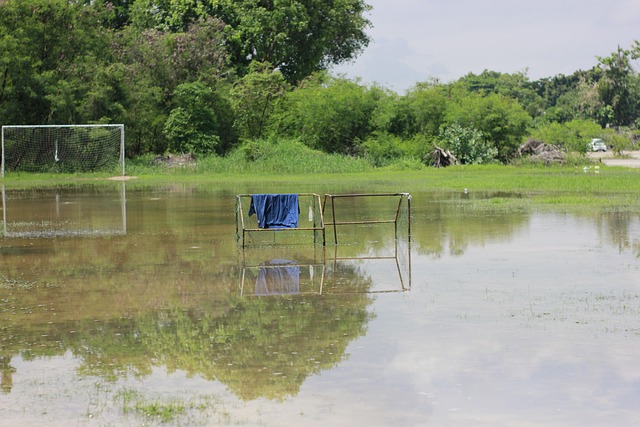 目前的核心 目前的核心