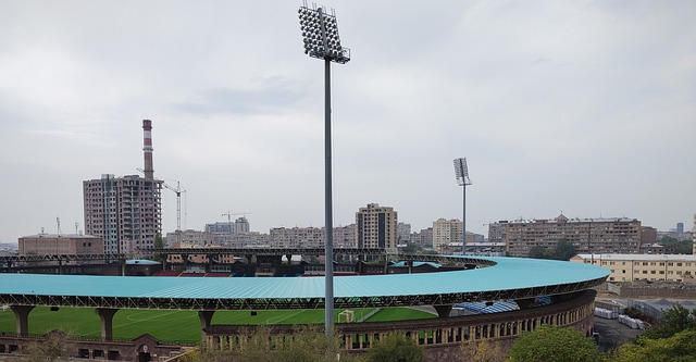 他们的心理 他们的心理