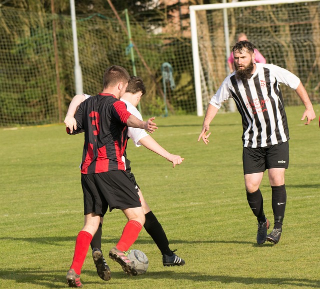 王大雷本可 王大雷本可
