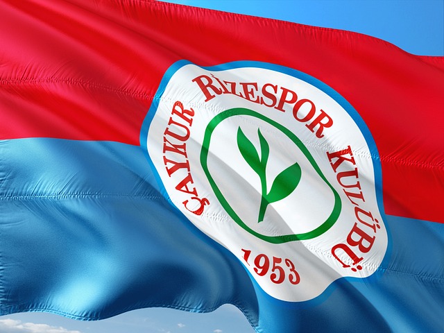 力正是他区 力正是他区