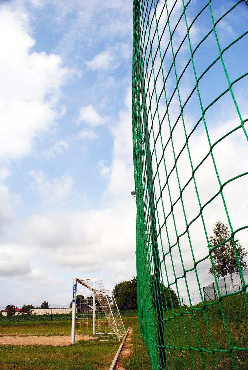 我们不能忽 我们不能忽