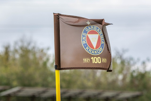 球员的合同 球员的合同