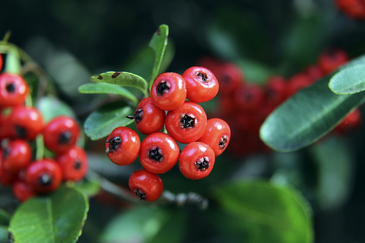 在过去几年 在过去几年